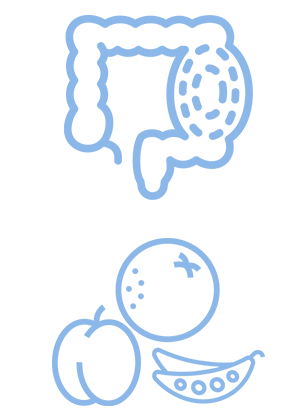 digestive system icons