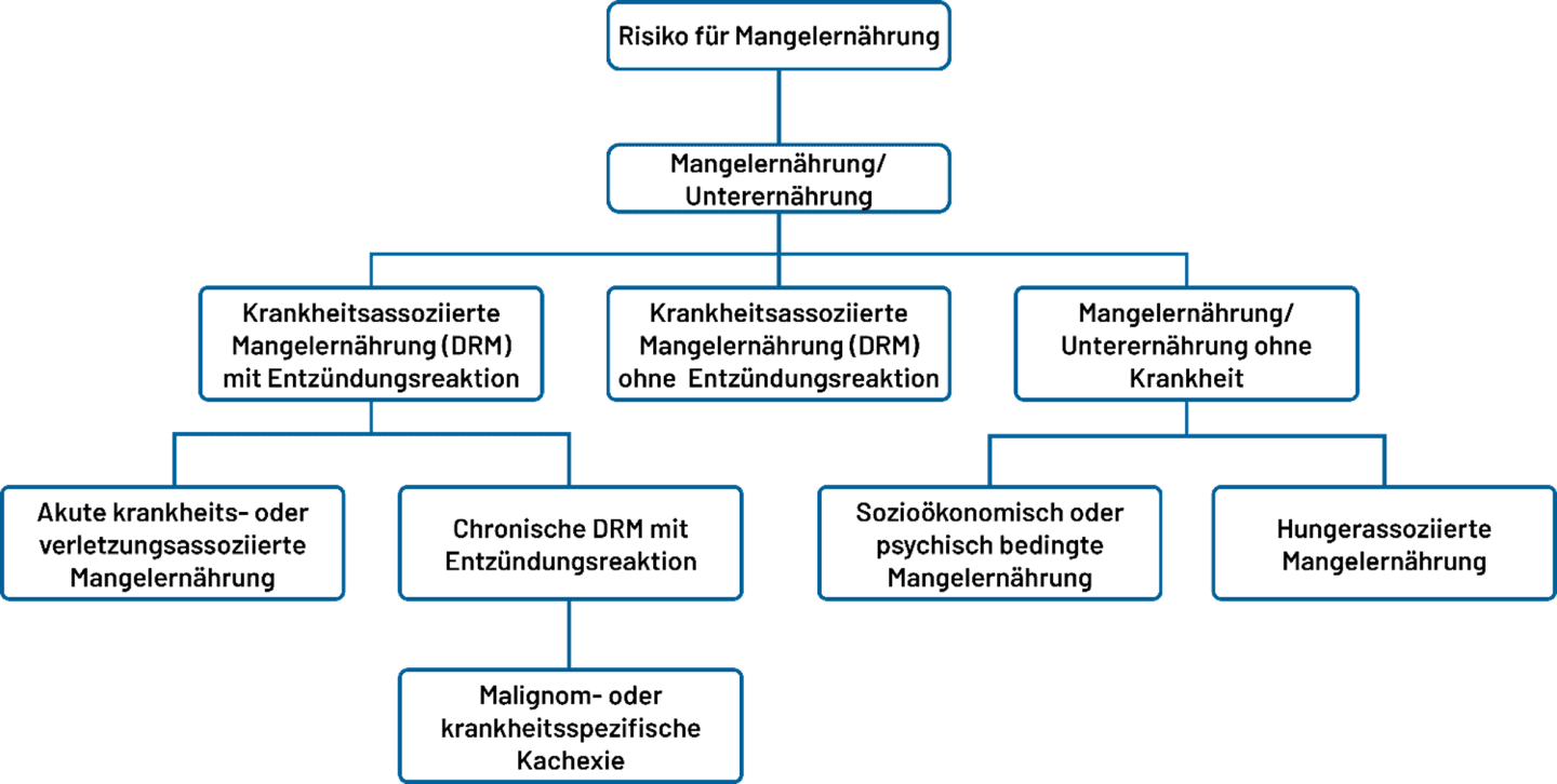 
Hypotrophie-Klassifizierungstabelle