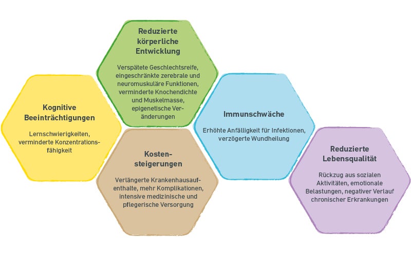 Breite Darstellung der Hexagon‑Grafik zu Auswirkungen von Mangelernährung mit denselben fünf Themenbereichen.