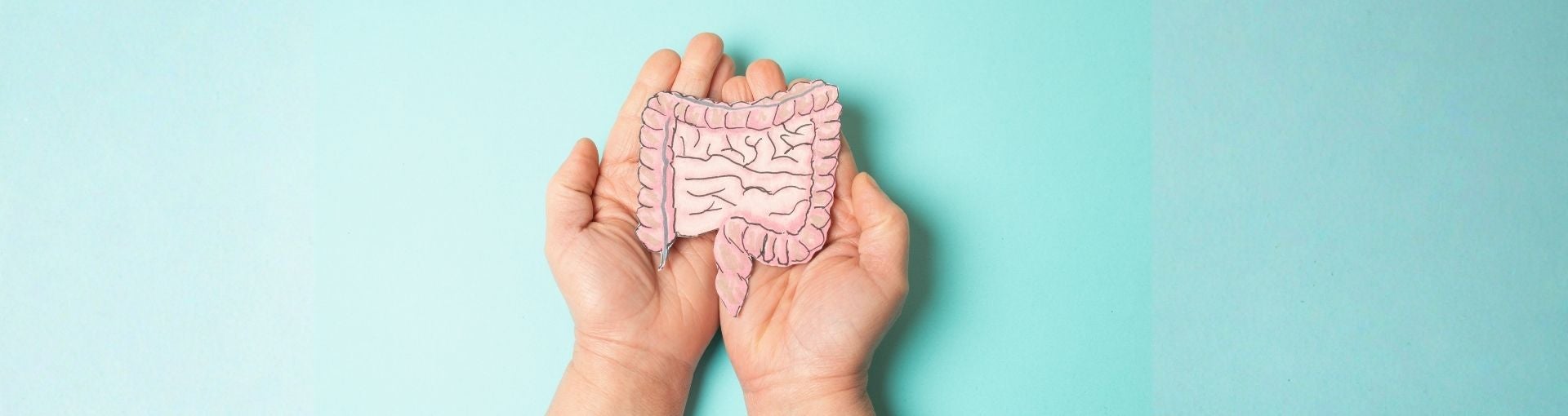 Morbus Crohn verstehen