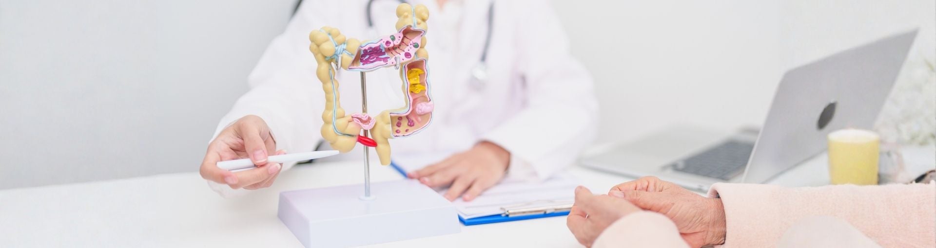 Morbus Crohn Ursachen