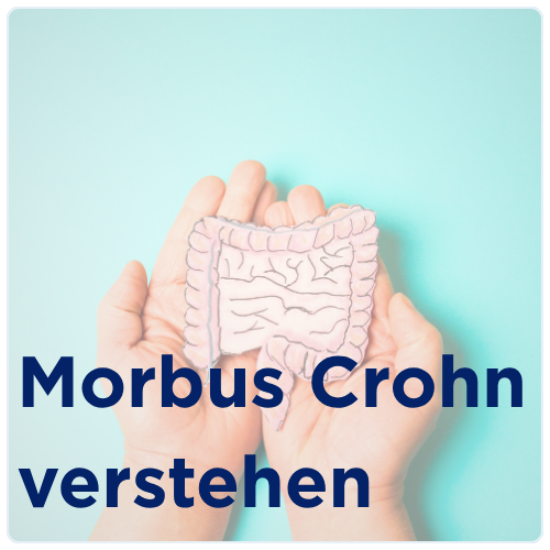 Hände halten eine schematische Darstellung des Darms, Text: Morbus Crohn verstehen