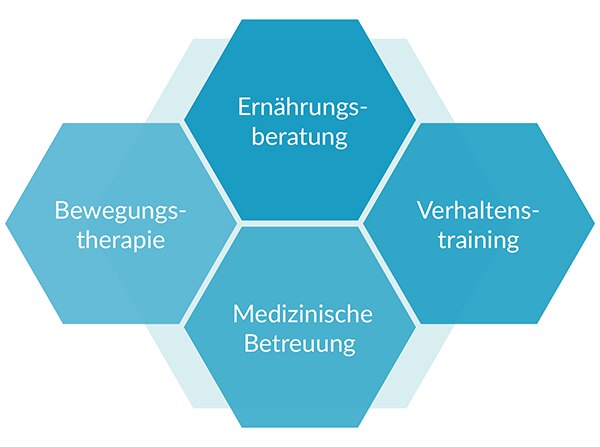 Diagram z pięcioma heksagonami: dieta, ruch, zachowanie, opieka medyczna.