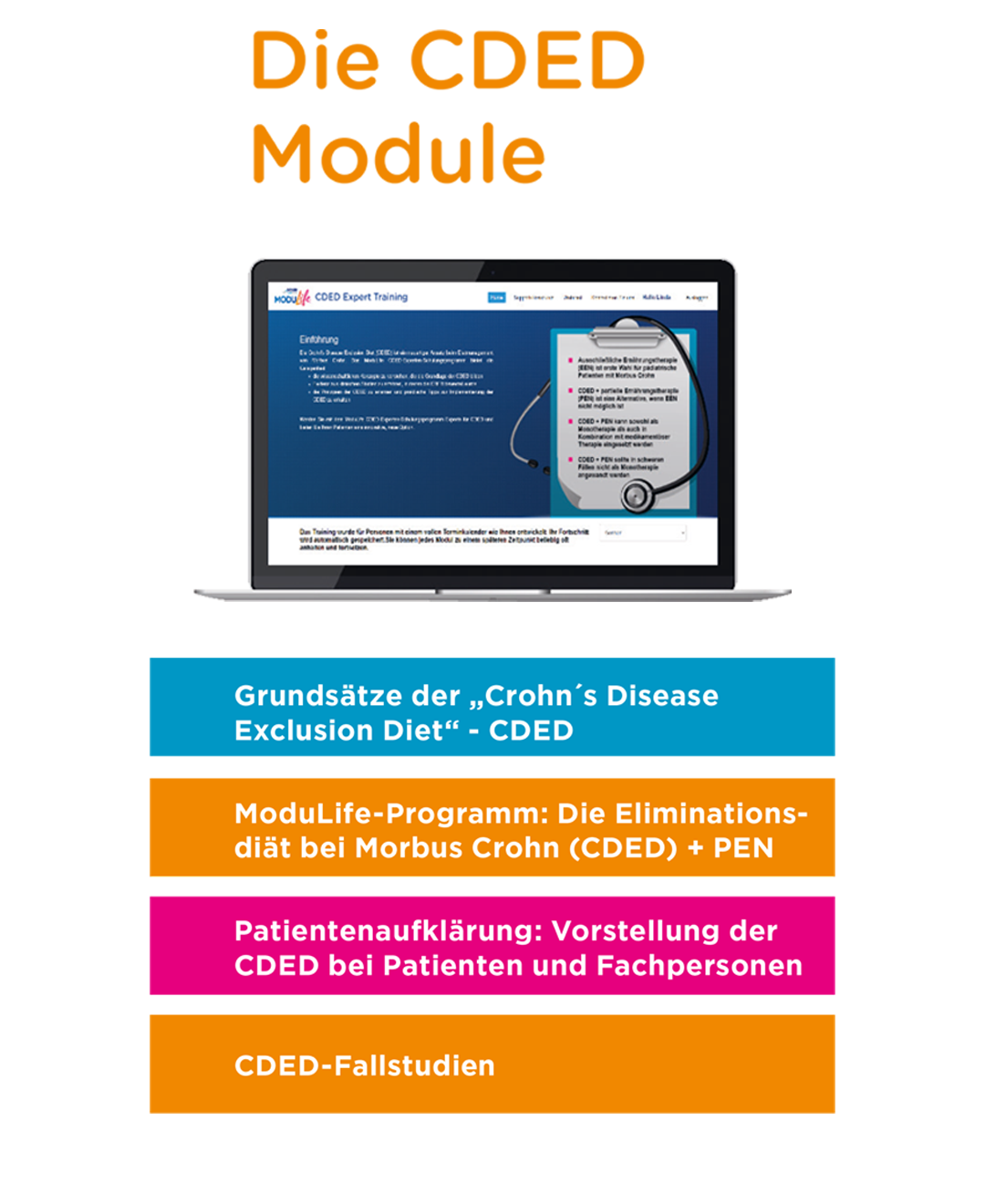 Modulife Ablauf