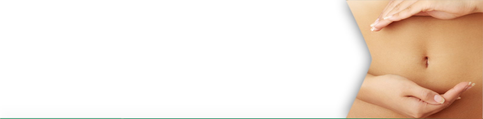 optifibre banner