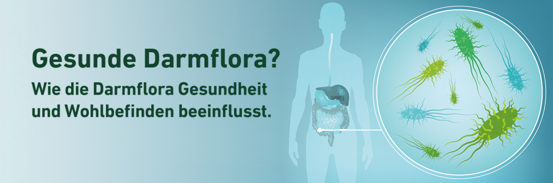 Wenn die Darmflora gestört ist