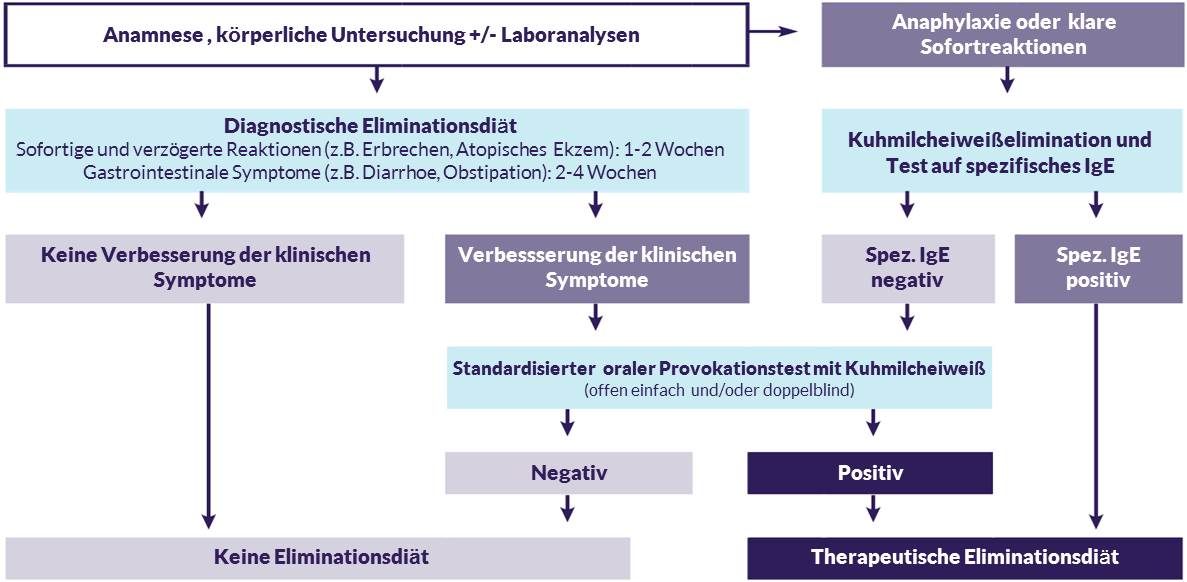 Entscheidungshilfe bei Kuhmilchallergie Symptomen die richtige Eliminationsdiät zu finden