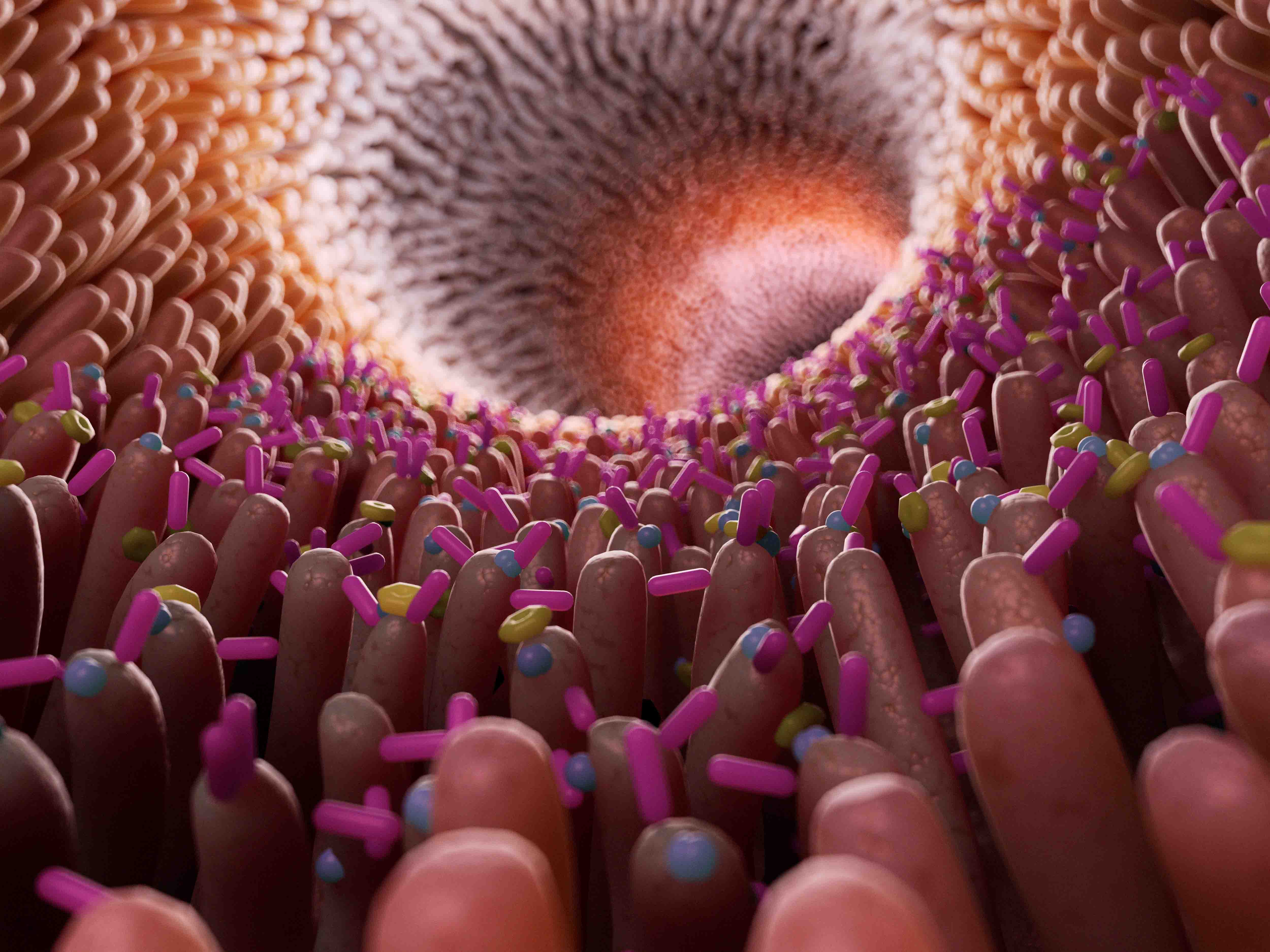 Optifibre Unser Darm Nestle Health Science
